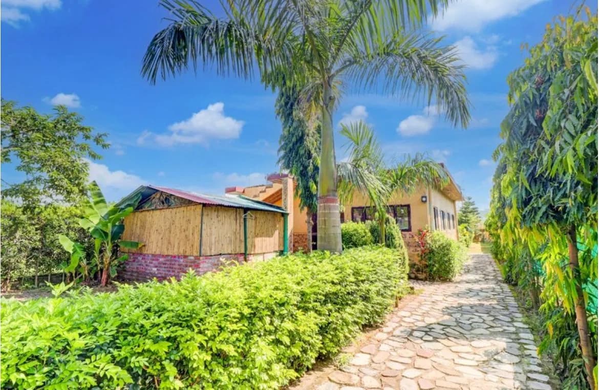 Wild trail home stay